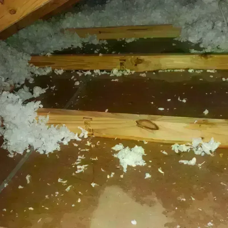 Attic Water Damage in Edina, MO