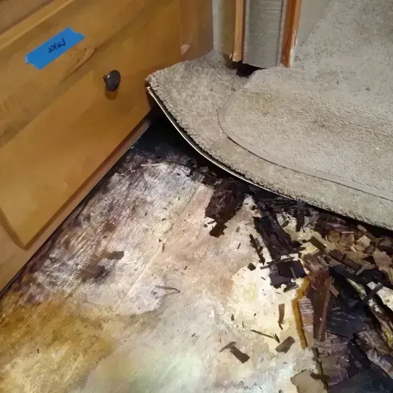 Best Wood Floor Water Damage Service in Edina, MO